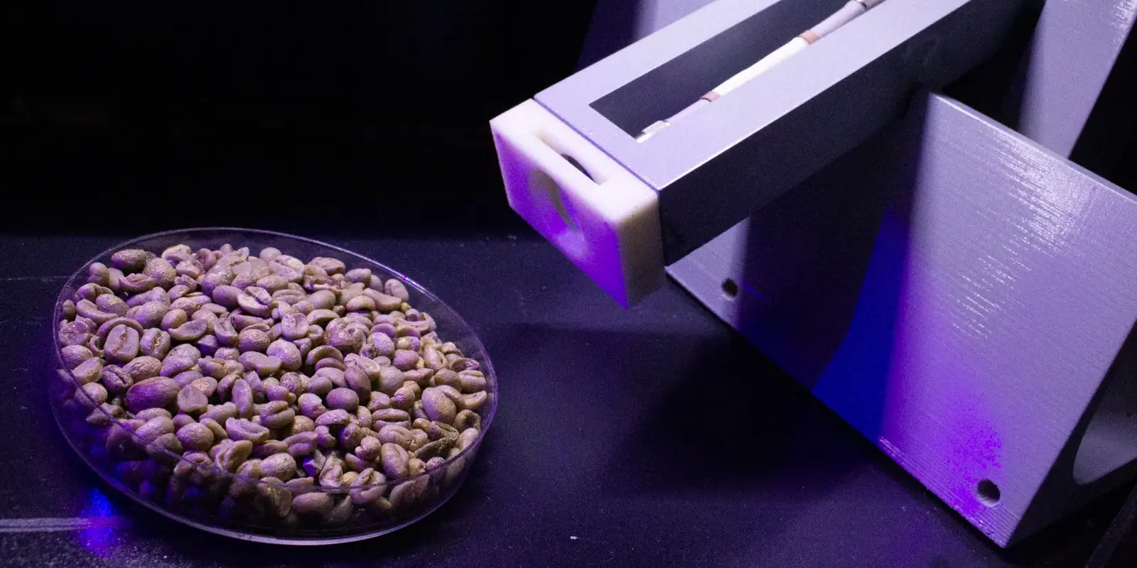 Fotografia de uma placa de Petri com semestes de café torradas e uma ponteira laser.